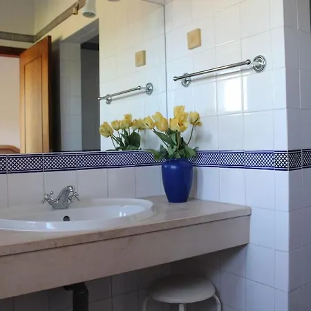 Sunshine Salgados Guia Algarve *